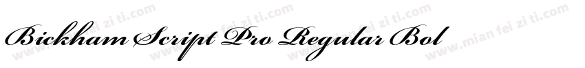 Bickham Script Pro Regular Bold字体转换